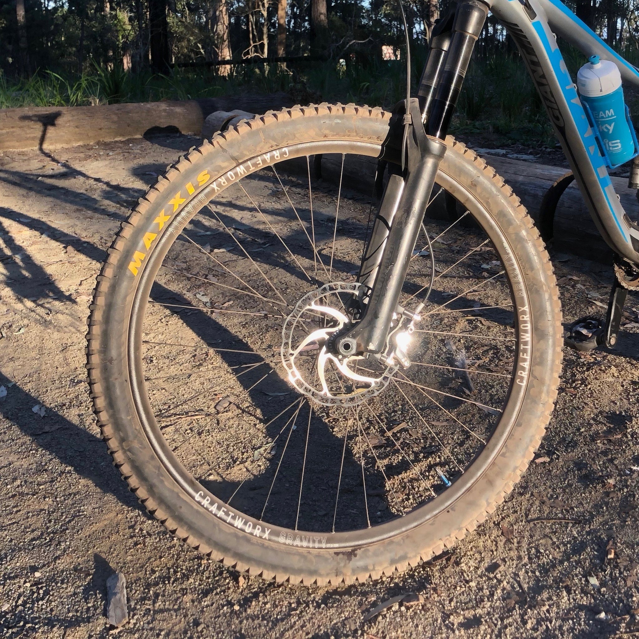 gravity 29 mountain bike