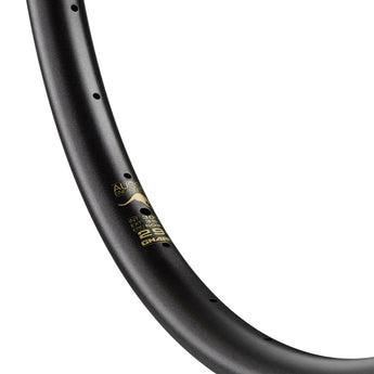 Gnarly Pipeline 30 Alloy Mtb Rim 29" Gold Rush